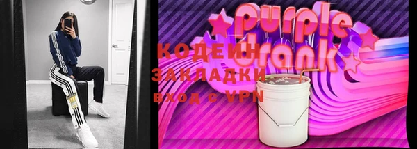 индика Приозерск