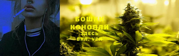 индика Приозерск