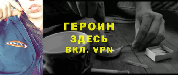 индика Приозерск