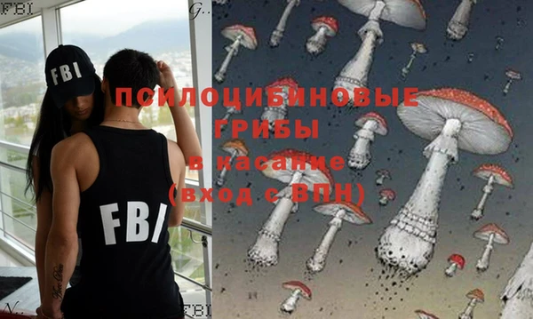 твердый Протвино