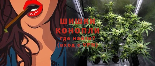 индика Приозерск