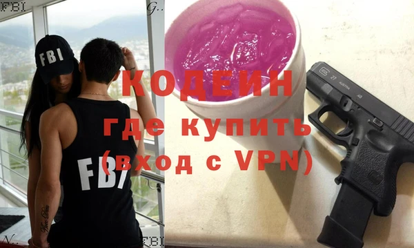 индика Приозерск