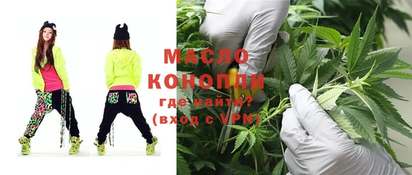 индика Приозерск