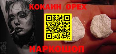 крисы Моздок