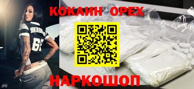 крисы Моздок
