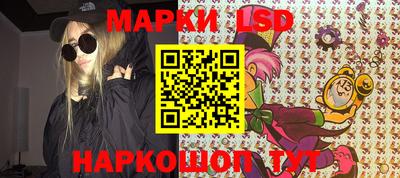 крисы Моздок