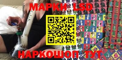 крисы Моздок