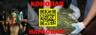 jwh Можга