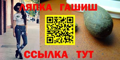 крисы Моздок