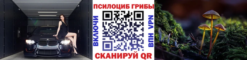 дарнет шоп  Гагарин  Галлюциногенные грибы Psilocybine cubensis 