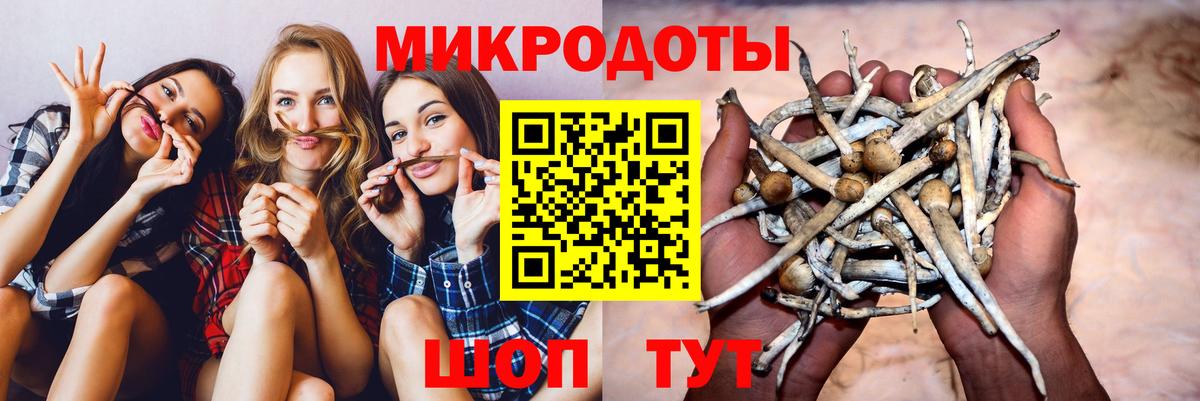 Гагарин  Псилоцибиновые грибы Cubensis  Вход с VPN  Галлюциногенные грибы Cubensis 