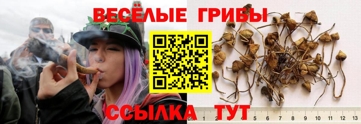 Галлюциногенные грибы мухоморы Гагарин
